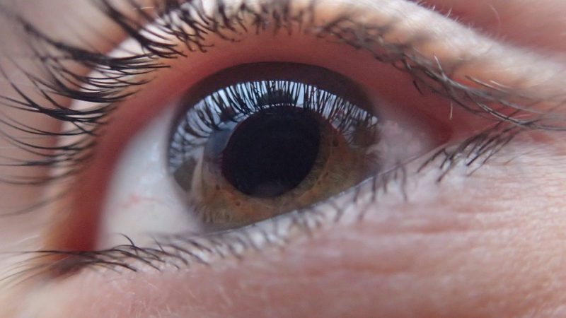 jaskra - choroba oczu